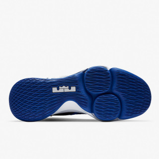 Nike LEBRON WITNESS IV TB 