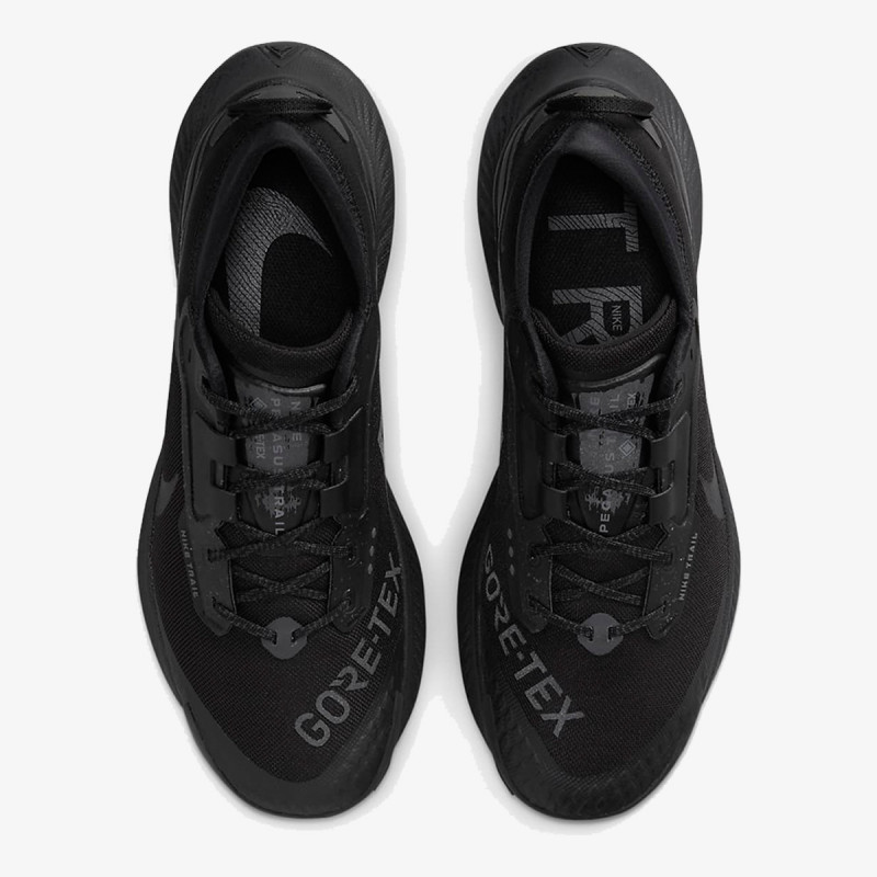 Nike Pegasus Trail 3 GORE-TEX 