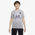 Nike Paris Saint-Germain Strike Fourth 