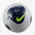 Nike Futsal Pro 