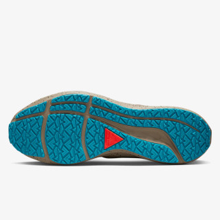 NIKE AIR ZOOM PEGASUS 39 SHIELD 
