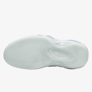 Nike AIR ZOOM FLIGHT 95 NAS 