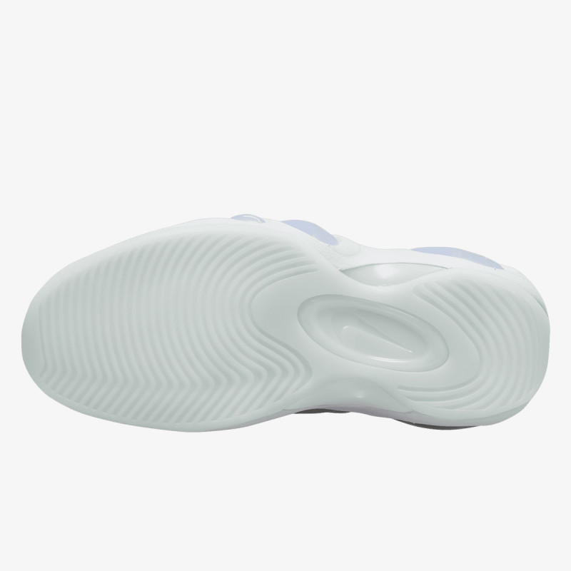 Nike AIR ZOOM FLIGHT 95 NAS 