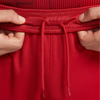 Nike LFC M NK DF STAD SHORT HM 