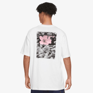 Nike Skateboarding 