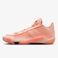 Nike AIR JORDAN XXXVIII LOW 