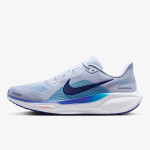 Nike Air Zoom Pegasus 41 