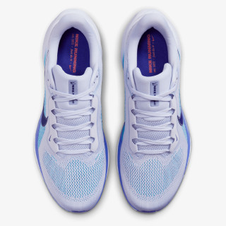 Nike Air Zoom Pegasus 41 