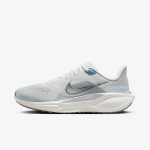 Nike Air Zoom Pegasus 41 