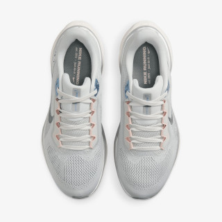 Nike Air Zoom Pegasus 41 