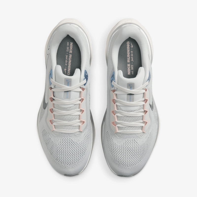 Nike Air Zoom Pegasus 41 