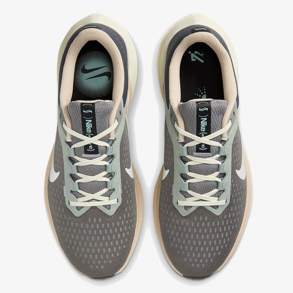 Nike AIR WINFLO 10 SPNT 
