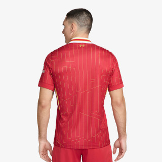 Nike LFC M NK DF JSY SS STAD HM 