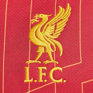 Nike LFC M NK DF JSY SS STAD HM 