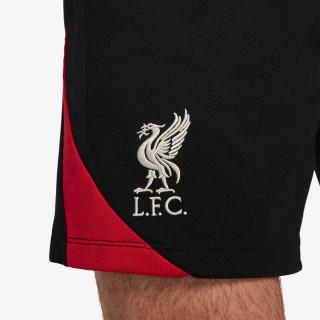 Nike LFC M NK DF STRK SHORT KZ 