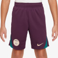Nike PSG Y NK DF STRK SHORT KZ 