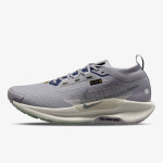 Nike REACTX PEGASUS TRAIL 5 GTX 