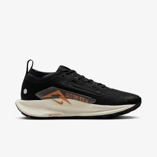 Nike Pegasus Trail 5 Gtx 
