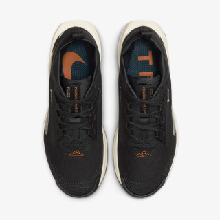 Nike Pegasus Trail 5 Gtx 