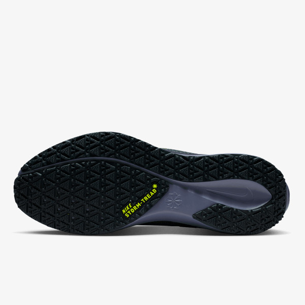 Nike AIR ZM PEGASUS 41 GTX