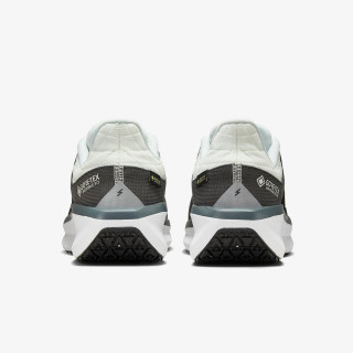 Nike Air WInflo 11 