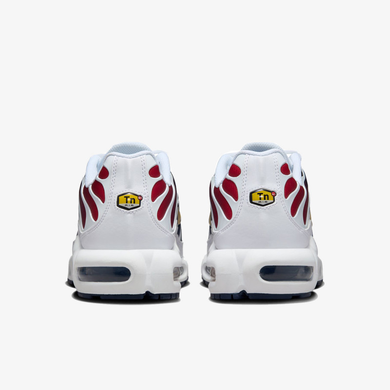 Nike NIKE AIR MAX PLUS PSG 