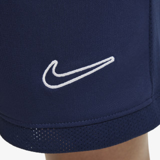 Nike Academy 25 