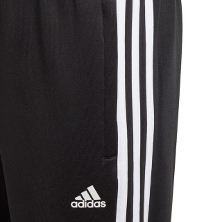adidas B 3S PT 