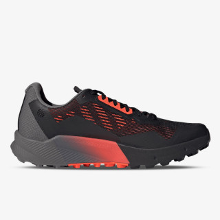 adidas TERREX AGRAVIC FLOW 2 GTX 