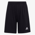adidas ENTRADA22 
