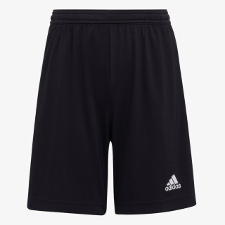 adidas ENTRADA22 