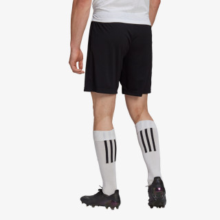 adidas ENTRADA22 