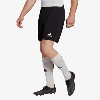 adidas ENTRADA22 