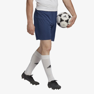 adidas ENTRADA22 