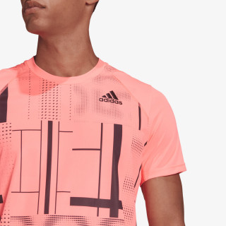 adidas CLUB GRAPH TEE 