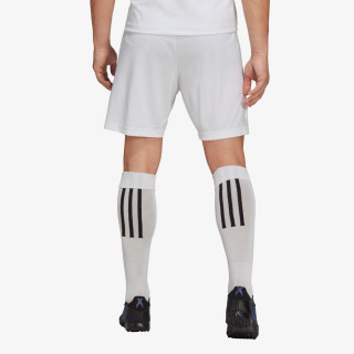 adidas ENTRADA22 