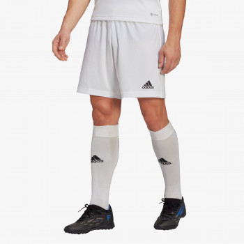 adidas ENTRADA22 