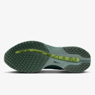 Nike NIKE PEGASUS PREMIUM 