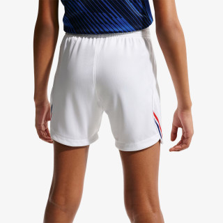 Nike FFF 