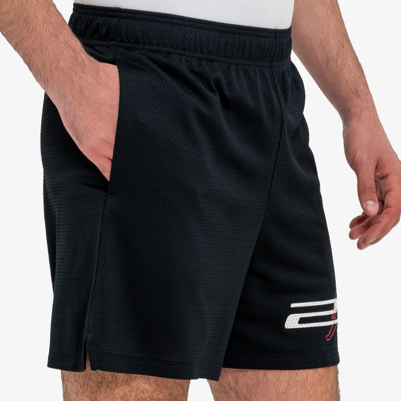 Nike Jordan Dri-Fit Mesh Graphic 