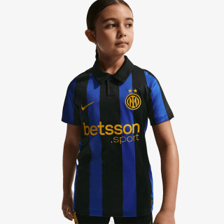 Nike Inter Stadium 