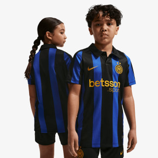 Nike Inter Stadium 