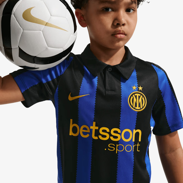 Nike Inter Stadium 