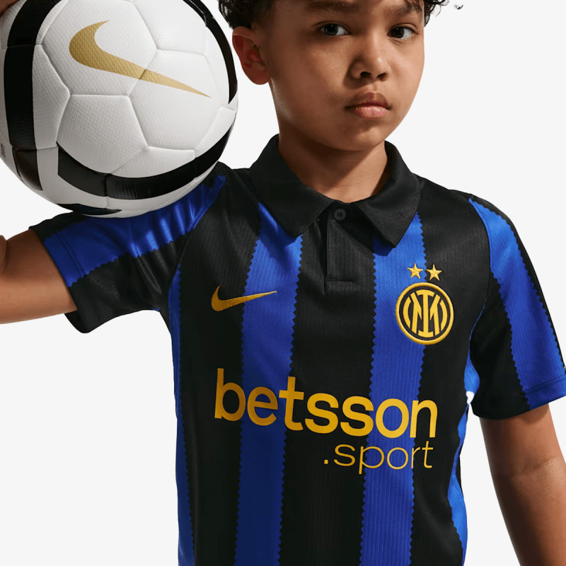 Nike Inter Stadium 