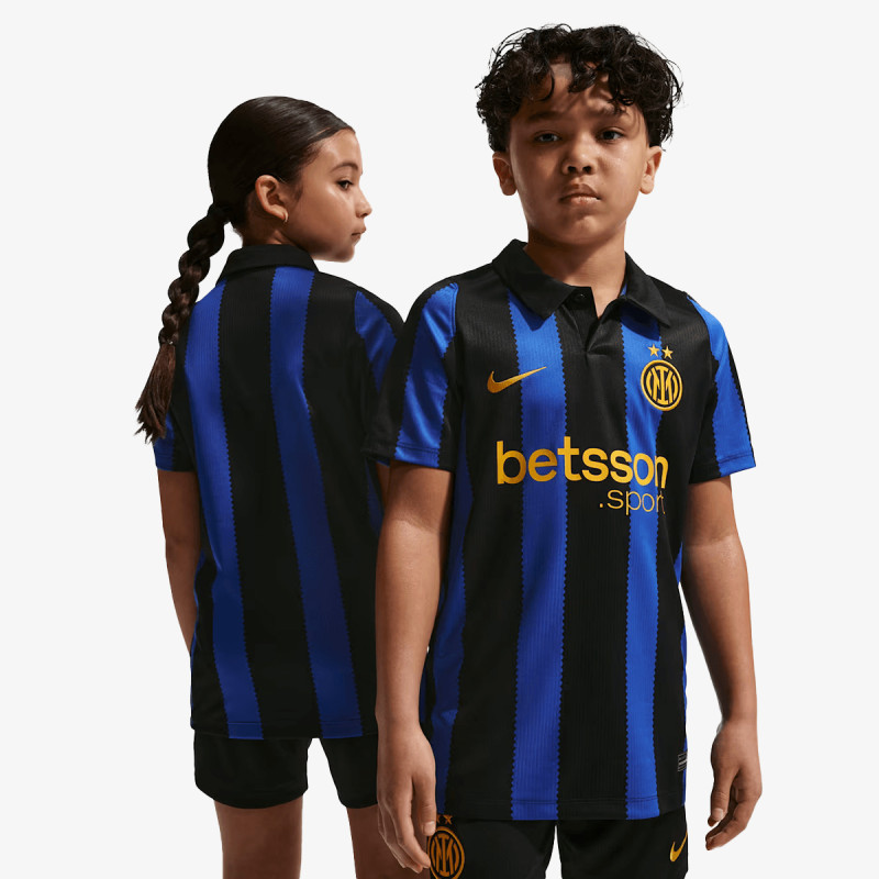 Nike Inter Stadium 
