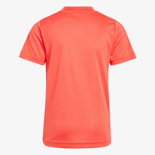 adidas LB DY SM T 