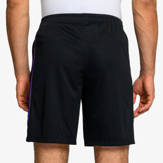 Nike FCB M NK DF STRK SHORT KZ AW 