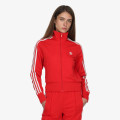adidas FIREBIRD  TT 