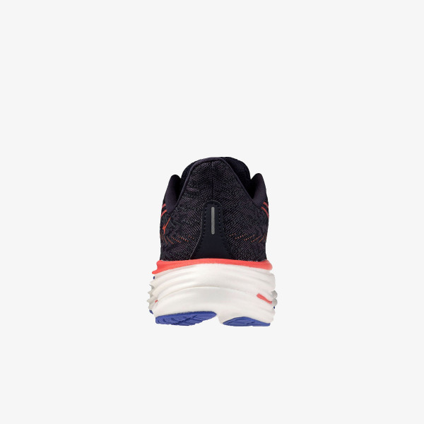 Mizuno WAVE RIDER 29 