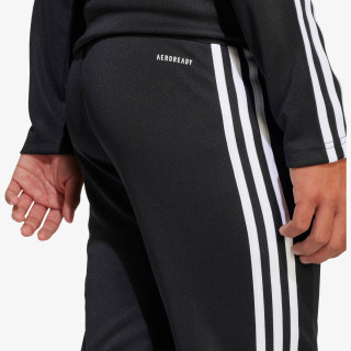 adidas SQ25 TR PNT Y 